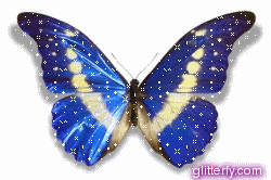 butterfly3.gif