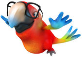 depositphotos_11949876-Fun-parrot.jpg