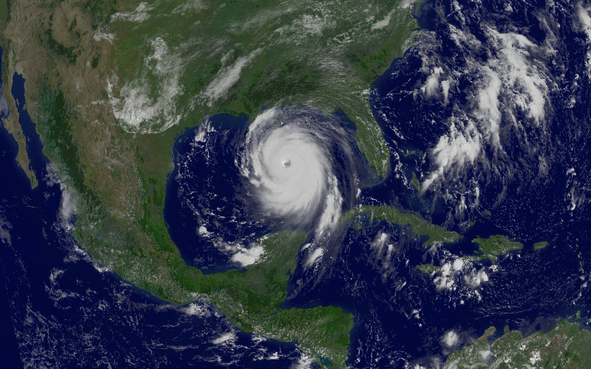 katrina_goes12_big1.jpg