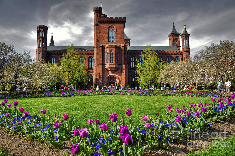 the-smithsonian-castle-jane-brack.jpg