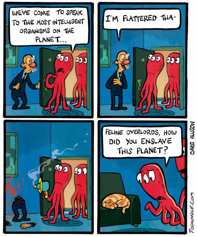 26-toonhole.jpeg