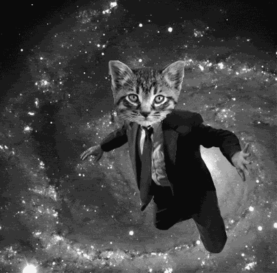 walkenkitten.gif