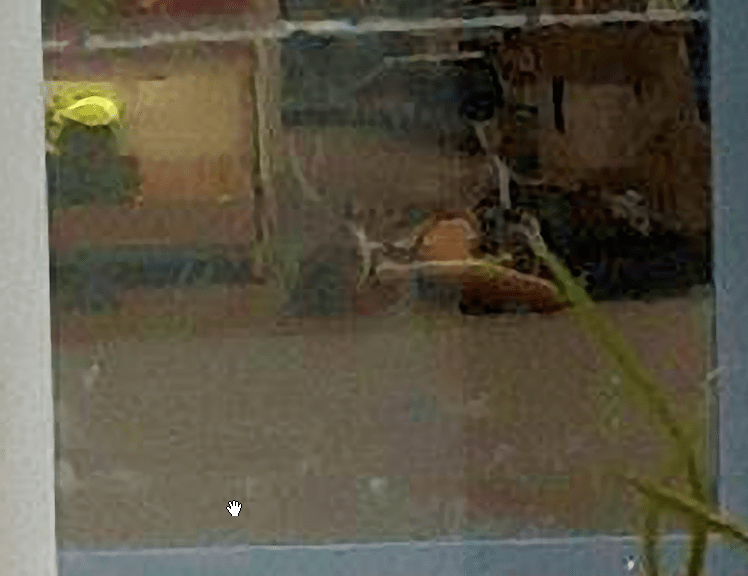 PhotoZoom-Pro-6ScreenSnapz018.png