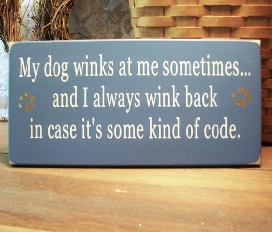 winking-dog.jpg