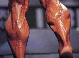 big-calves.jpg