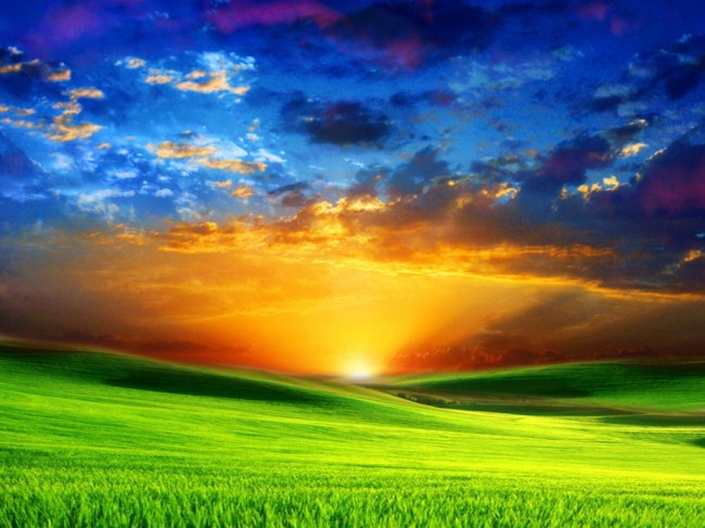 beautiful_sunrise_on_green_meadow-650x487.jpg