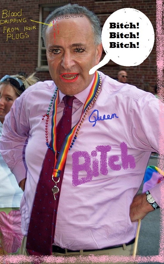 chuck-schumer-gay.jpg