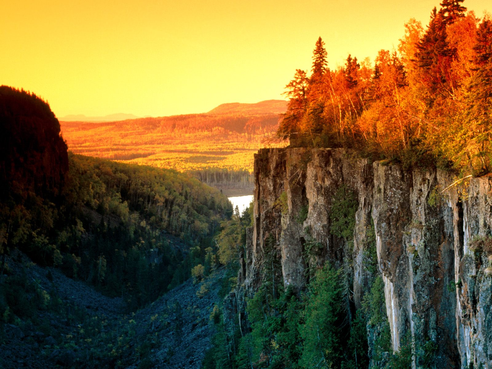 Autumn%20Light,%20Canada%20.jpg