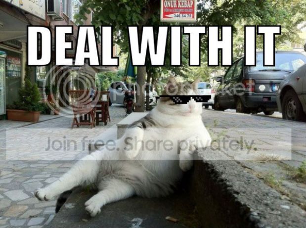 deal-with-it-cat11_zps1bf94a53.jpeg