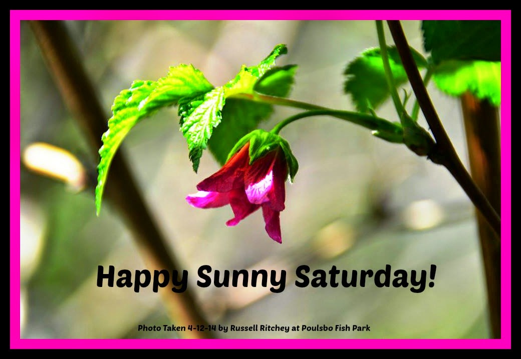 Sunny+Saturday.jpg