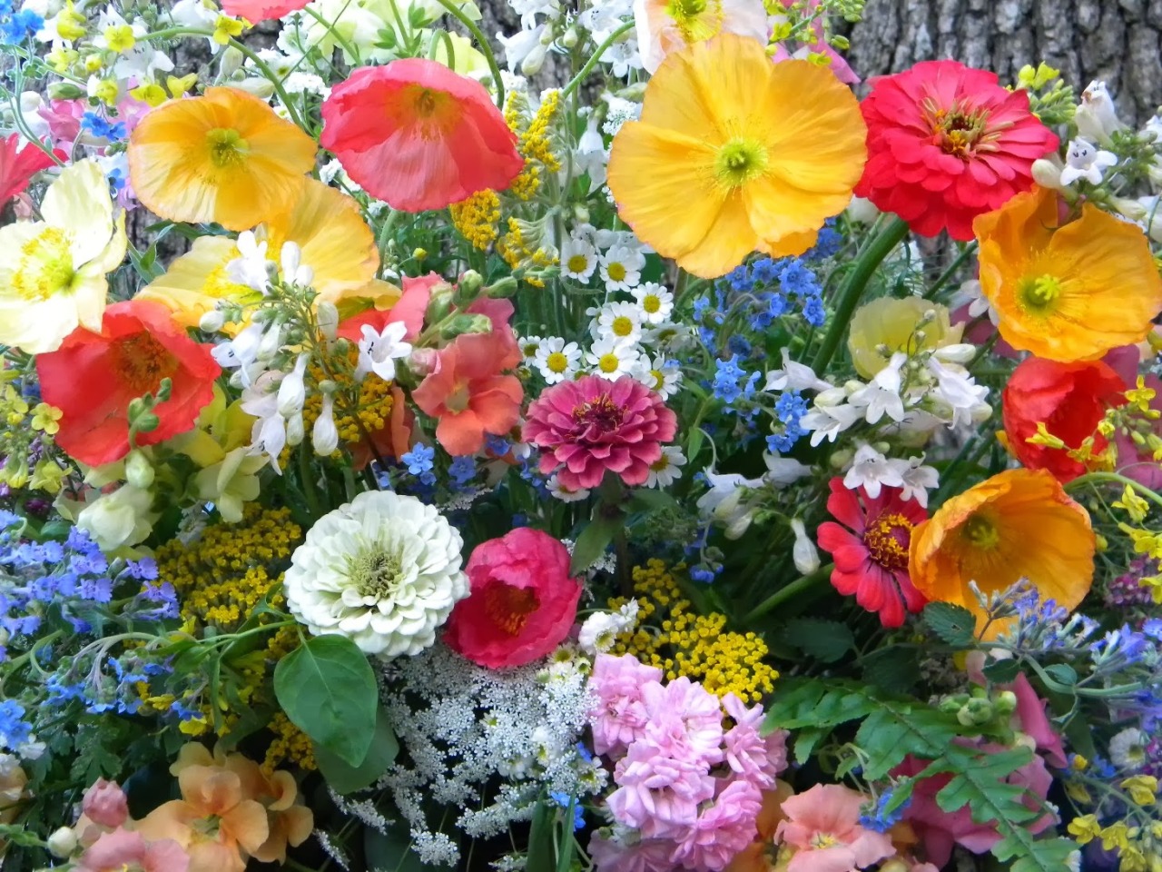 tumblr_n20ub1YF511r38w10o1_1280.jpg