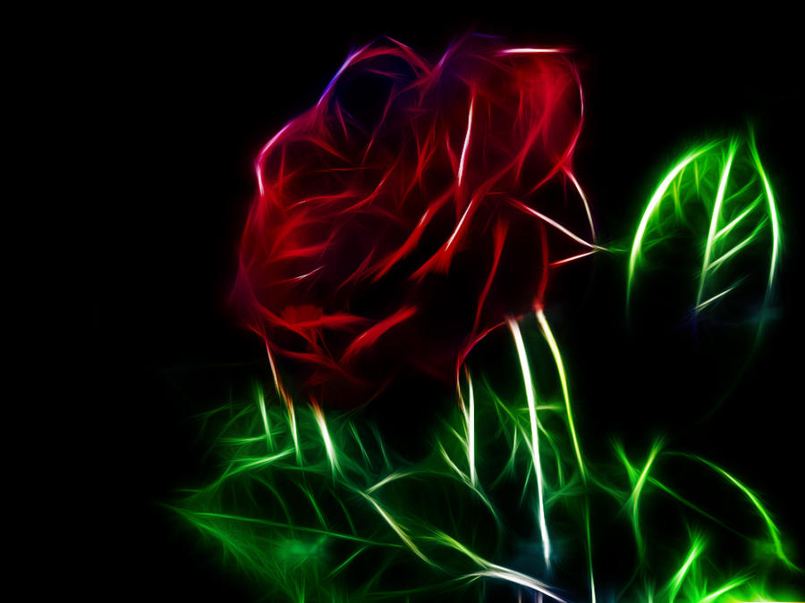 Fractal_Rose_by_minimoo64.jpg
