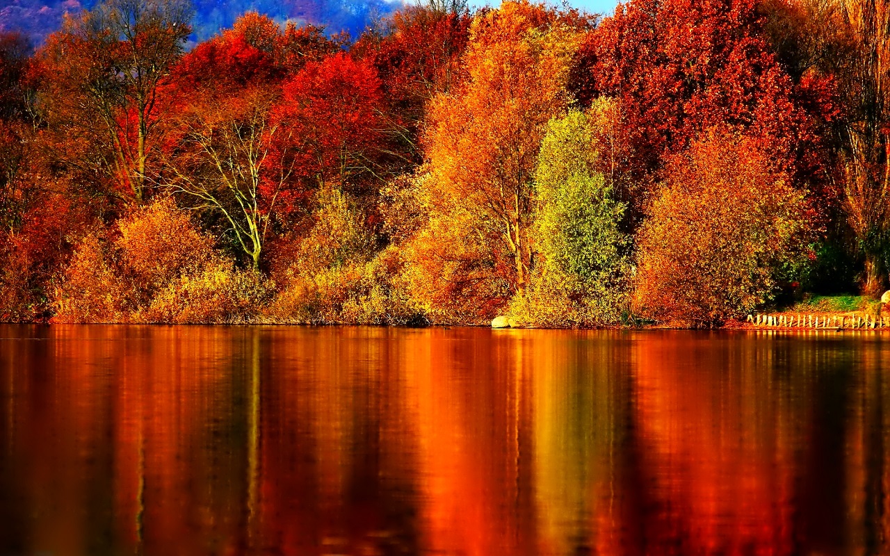 Autumn-Wallpaper-autumn-35867784-1280-800.jpg
