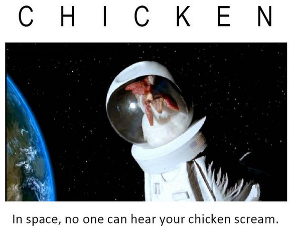space-chicken.jpg