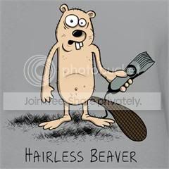 Hairless_Beaver-ubnvm3-d.jpg