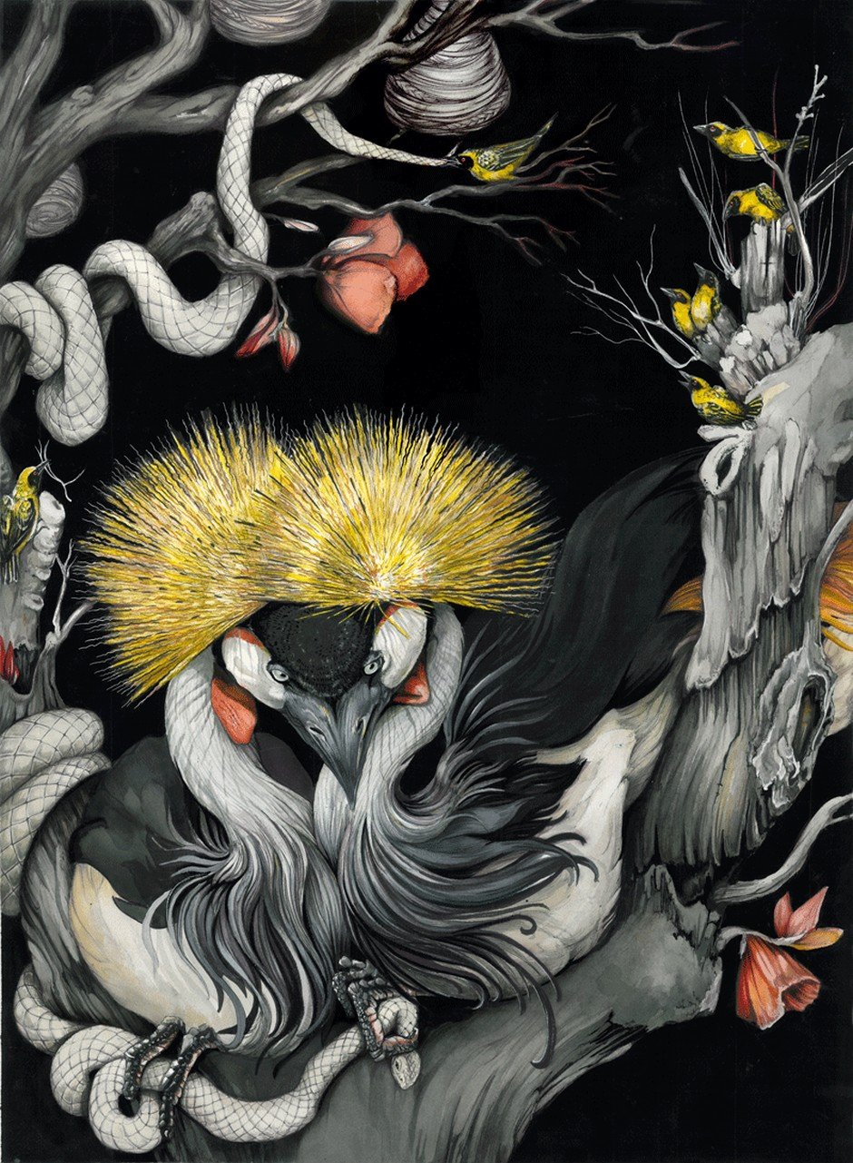 Christina-Mrozik-Drawings-CrownedCranesWeb.jpg