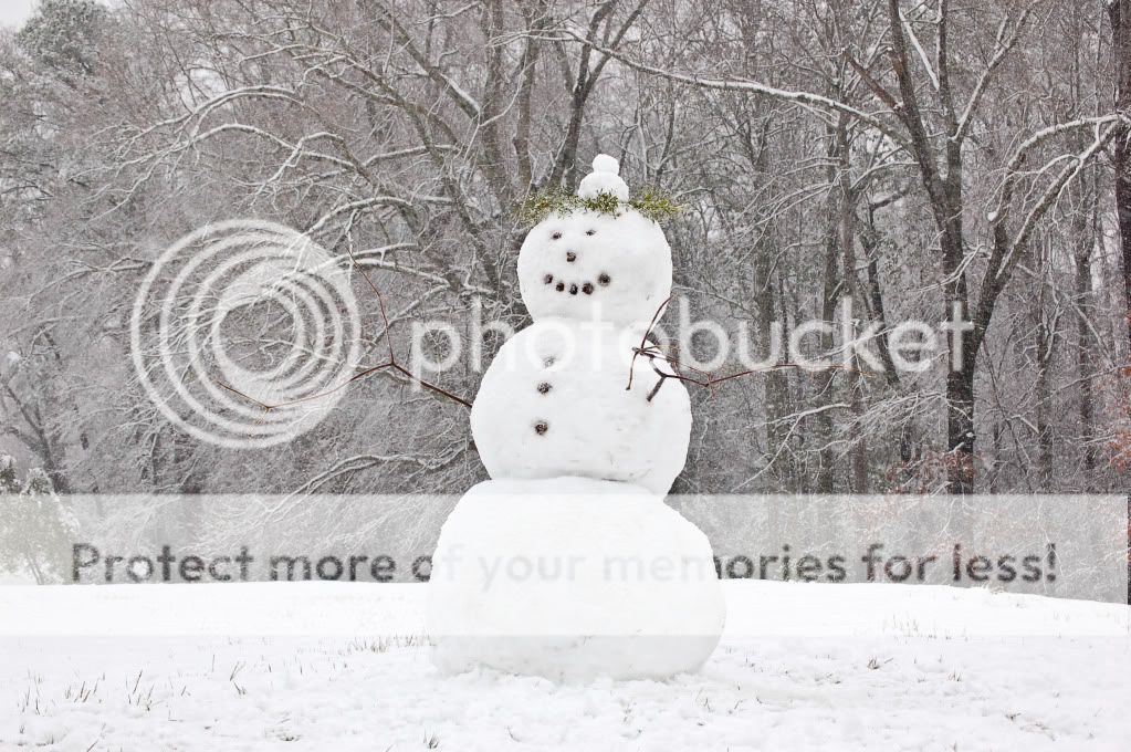 Auburn_Alabama_Snowman_2009.jpg