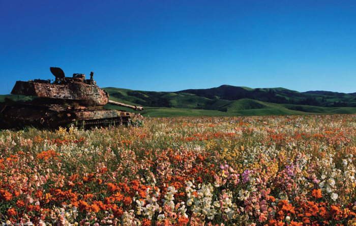 abandoned-army-tanks-that-have-become-a-part-of-nature-10.jpg