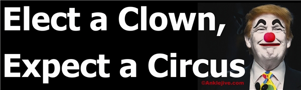 ELECT-A-CLOWN_EXPECT-A-CIRCUS.jpg