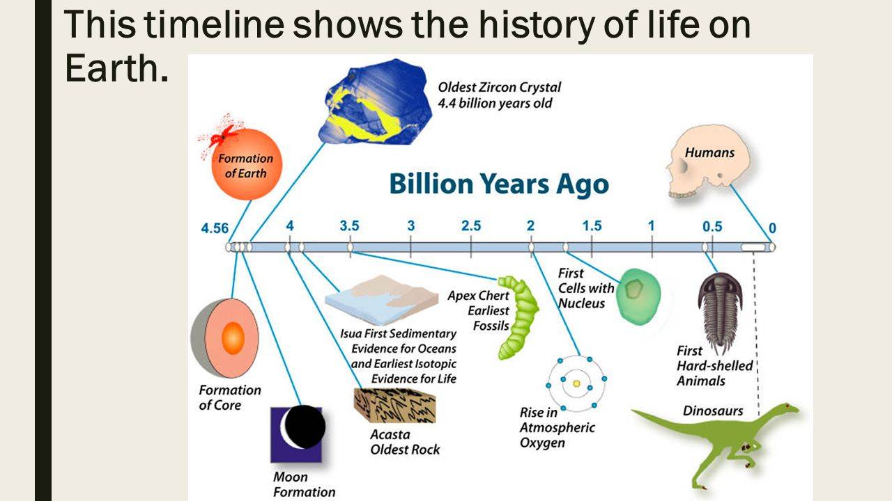 This%20timeline%20shows%20the%20history%20of%20life%20on%20Earth..jpg