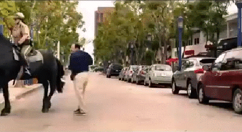unnamed.gif