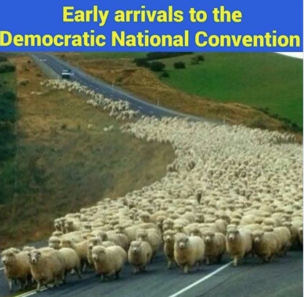 dnc-meme-sheep.jpg