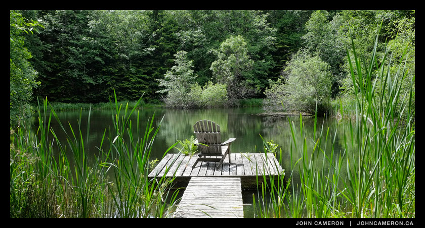 summer20130618033.jpg