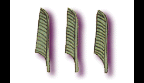 e.gif