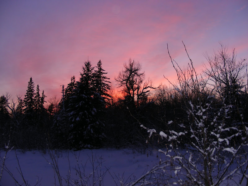 DSCF0262.JPG