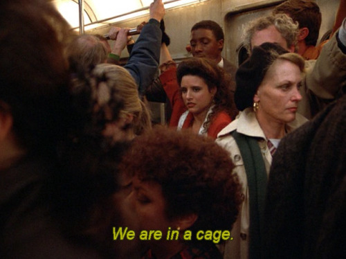 tumblr_mrjsyjVS2c1r3f9sho2_500.jpg