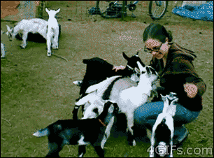 daily_gifdump_457_10.gif
