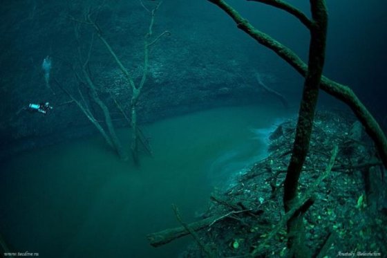 underwaterriver2.jpg