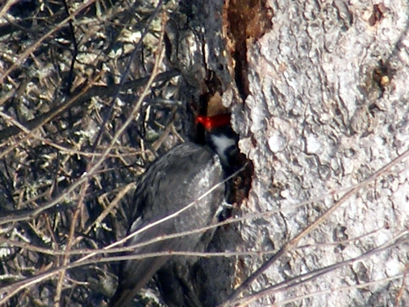 DSCF0380.JPG