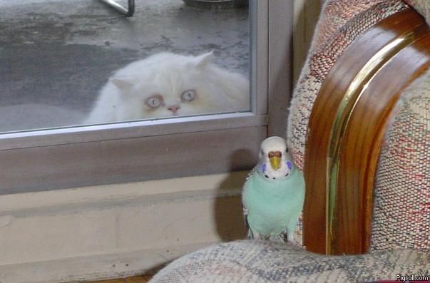 ooeed.jpg