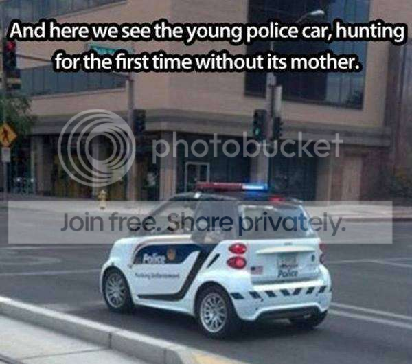 youngpolicecar_zps013858e0.png