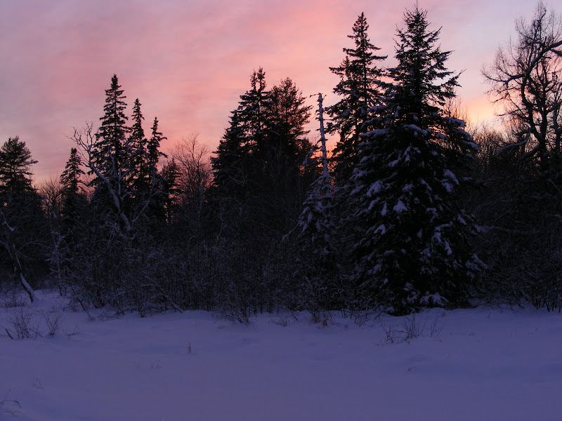 DSCF0246.JPG