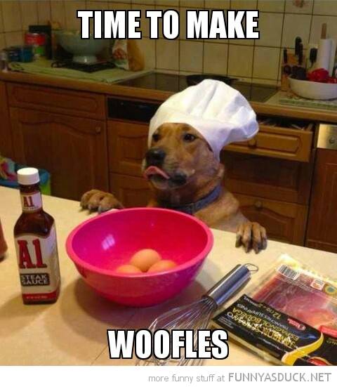 funny-dog-kitchen-chefs-hat-time-to-make-woofles-pics.jpeg