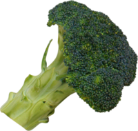 vegetable__111_