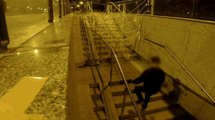 dog-spider-prank-sa-wardega-16.gif