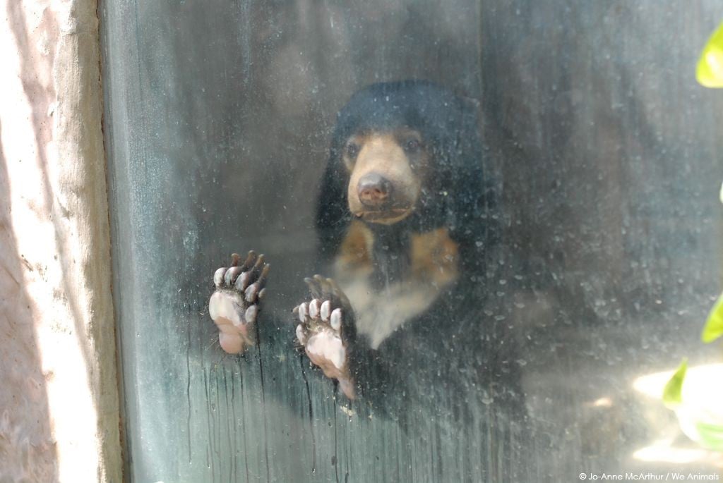 Zoo-Promo-E-mail-Image-sfw.jpg