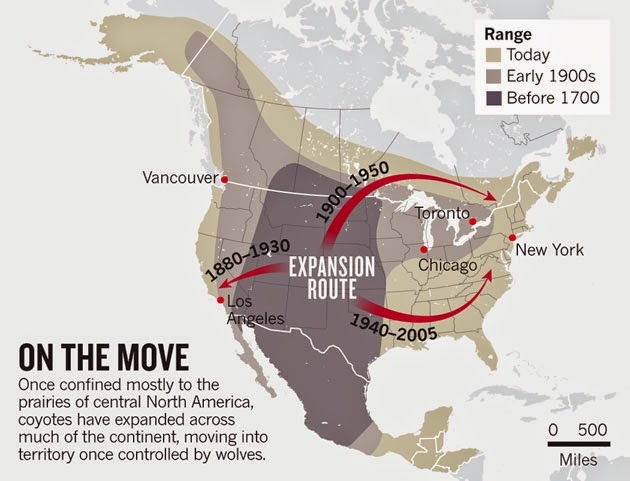 Coyote-map2.jpg
