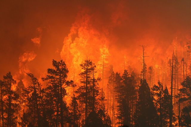 wallow-fire.jpg