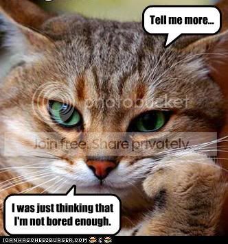 BoredCatIsBoredmine.jpg
