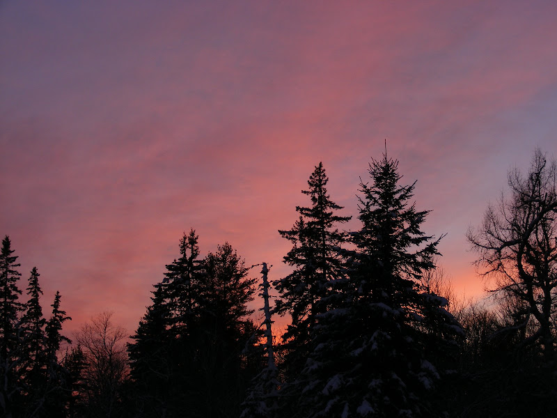 DSCF0250.JPG