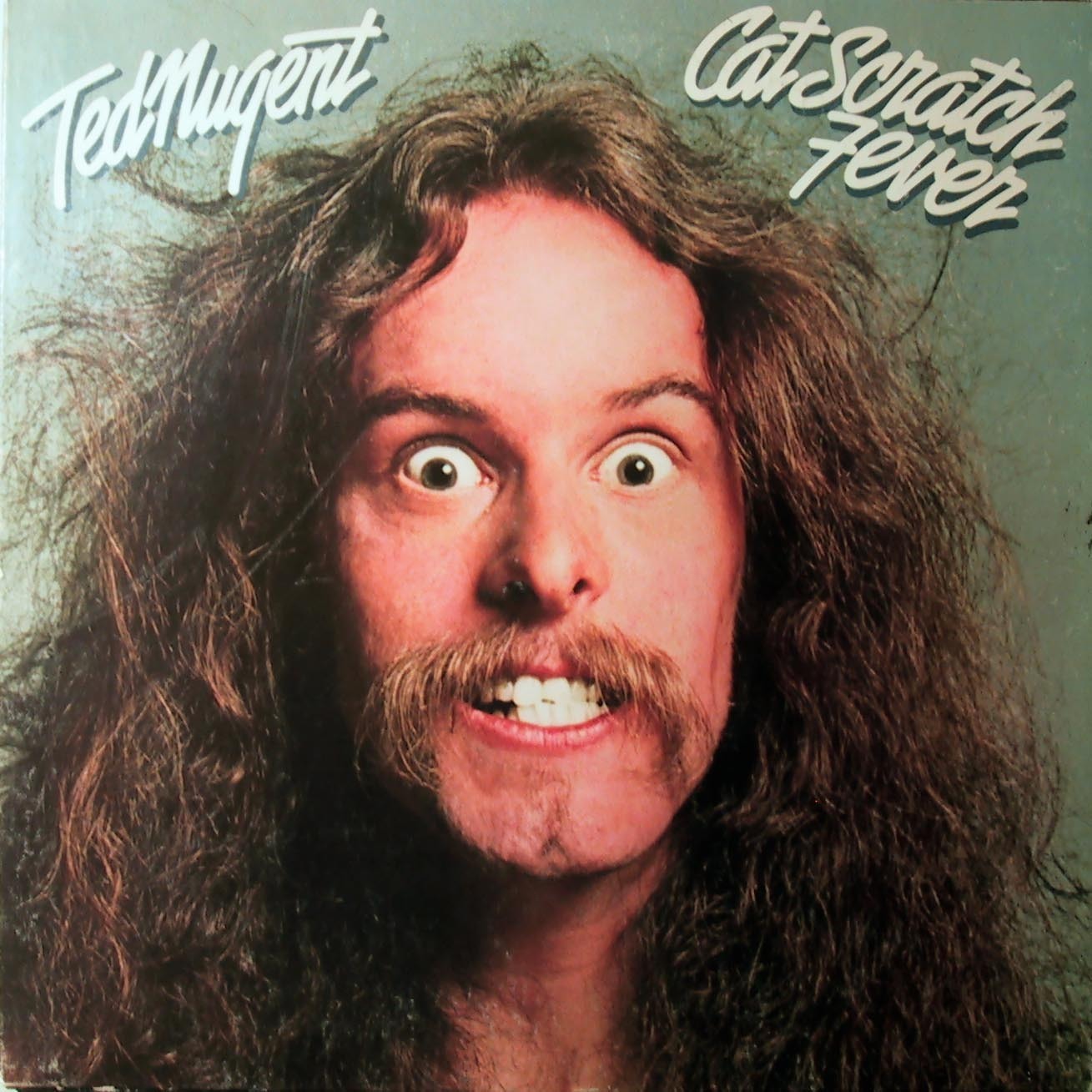 Cat-Scratch-Fever-ted-nugent-4486337-1309-1309.jpg