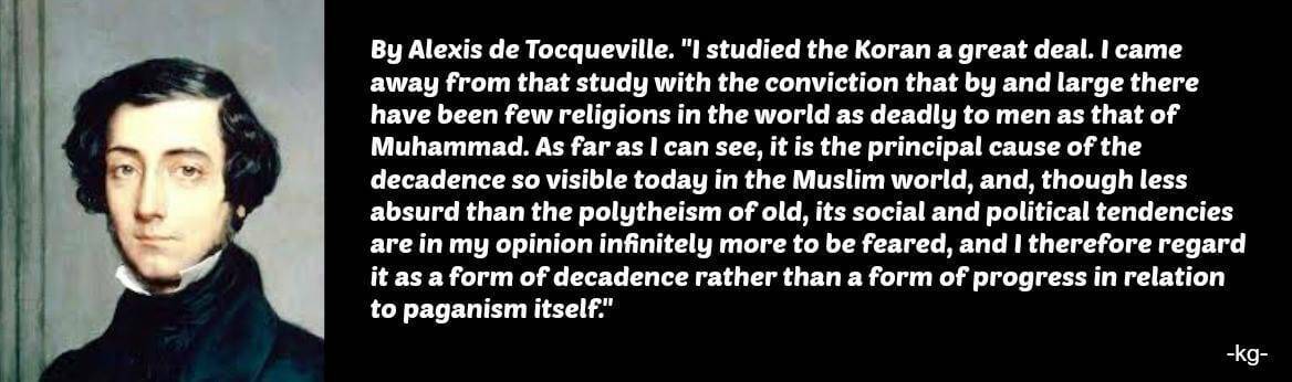 ISLAM-TOQ-Quote.jpg