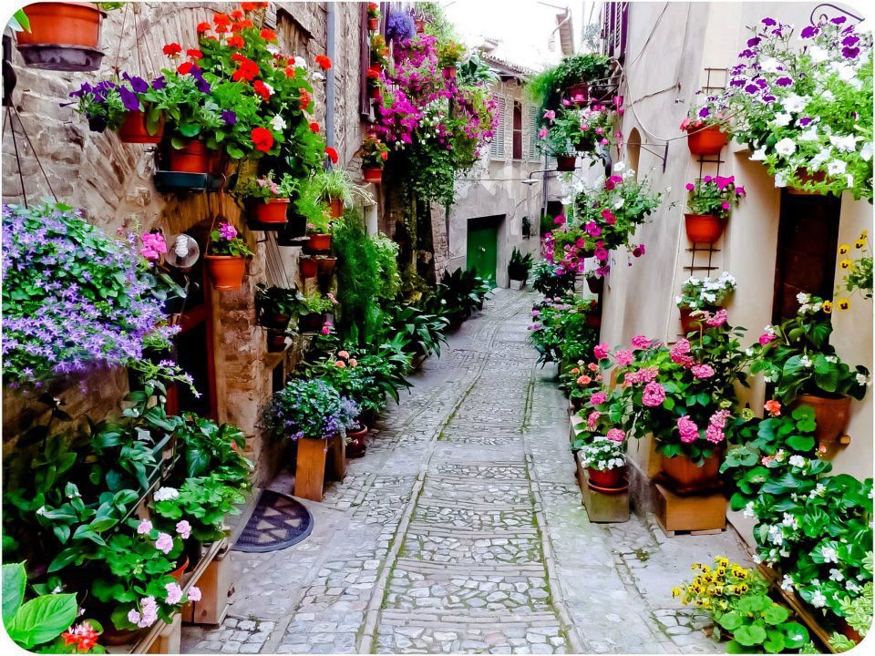 Beautiful-old-street.jpg