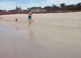 63.gif