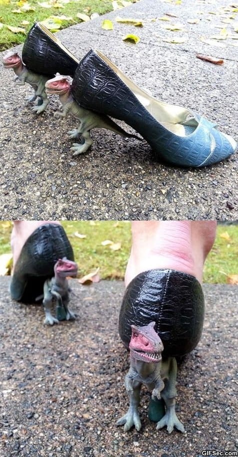 Funny-Pictures-T-Rex-Heels.jpg