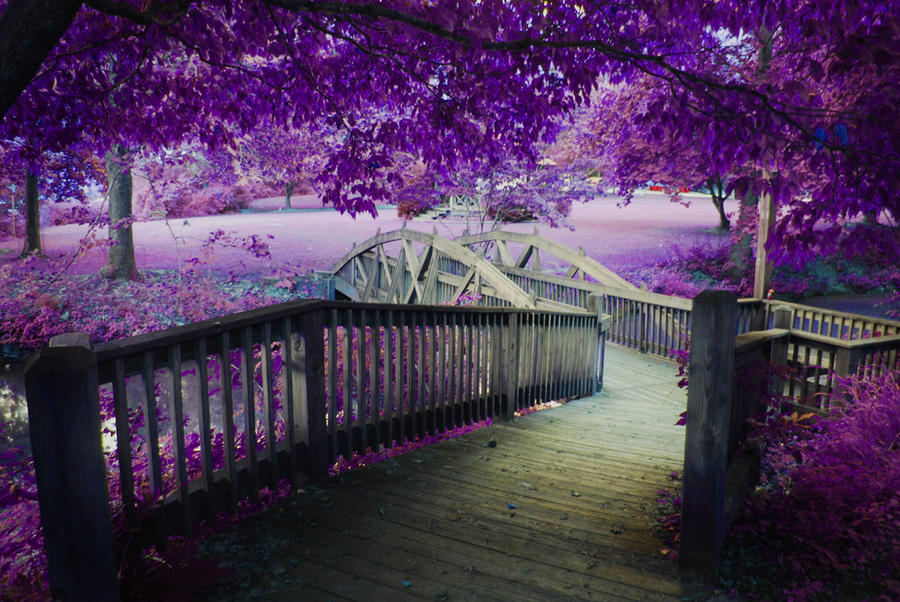 fairy_bridge_by_raybearr.jpg